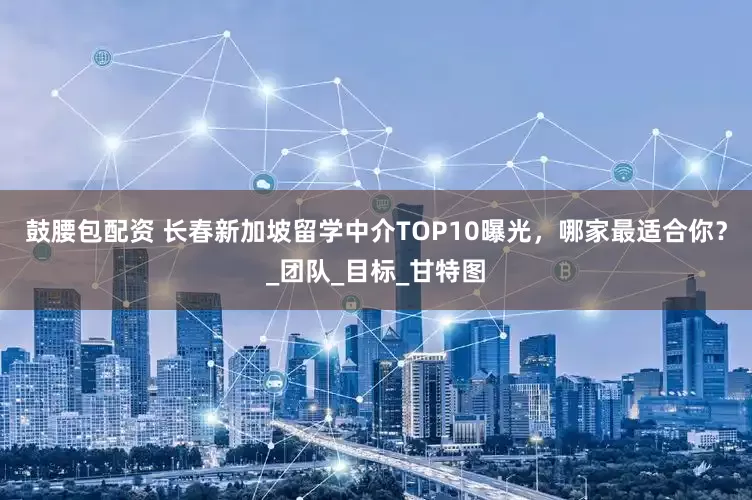 鼓腰包配资 长春新加坡留学中介TOP10曝光，哪家最适合你？_团队_目标_甘特图